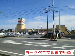 グレイスフル その他