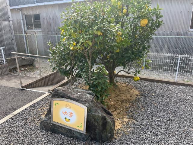 ゆず 外観