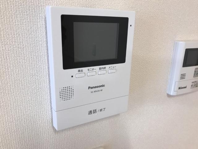 ゆず その他
