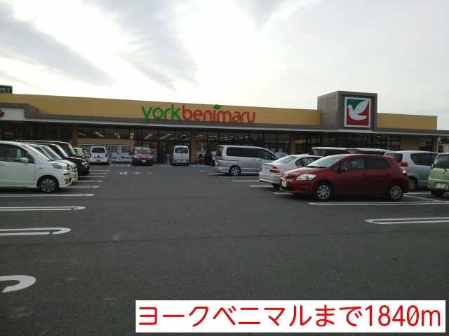 クレメント その他