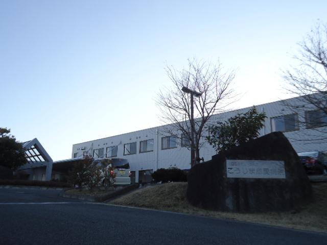 アリス その他