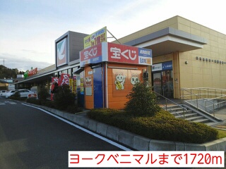 クレメントⅡ その他