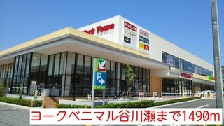 クレメント・ミヤマエ その他