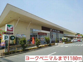 エターナルサクセス その他