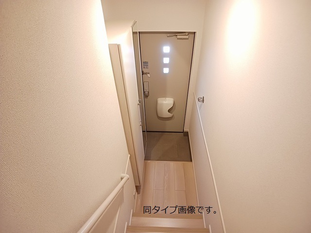 モンステラ 玄関