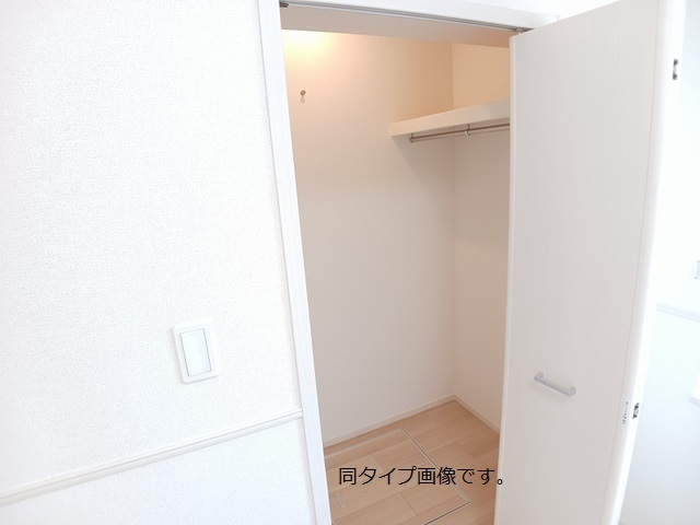 モンステラ 収納