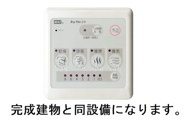 モンステラ その他