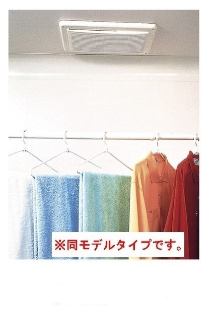 モンステラ その他