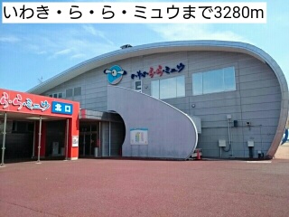 フォルトゥーナ その他
