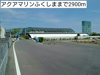 フォルトゥーナ その他