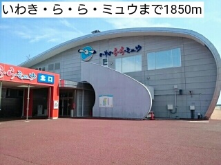 サピーカーサ　ＪＹＳ その他