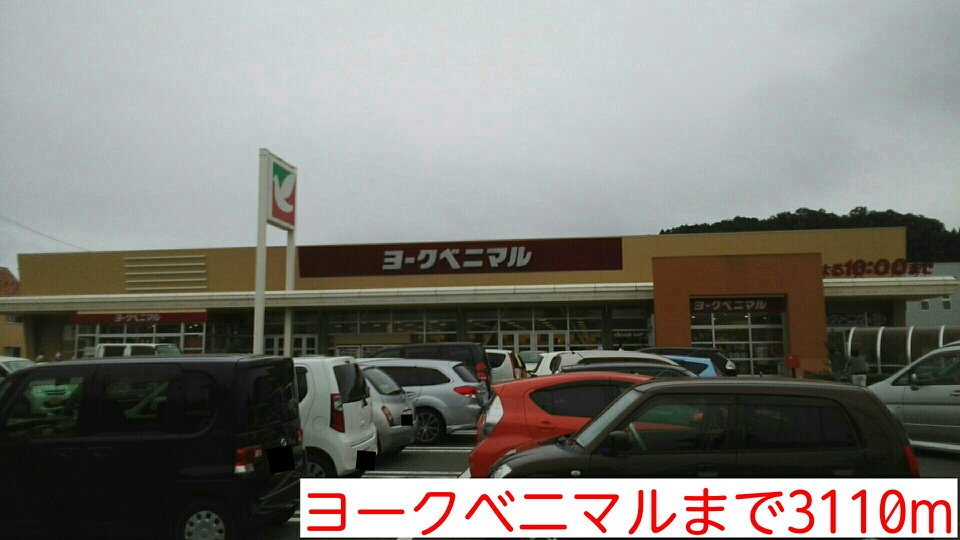 プラシード・アルバ その他