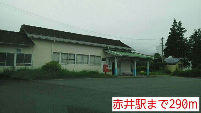 プラシード・アルバ その他