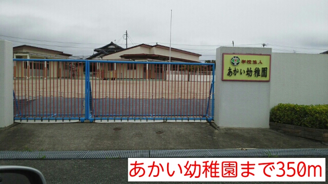 プラシード・アルバ その他