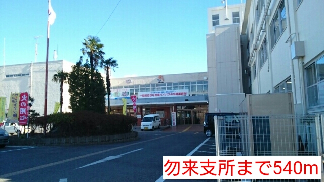 サンフィオーレ錦 その他