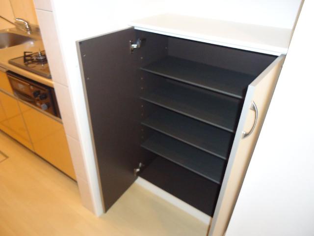 スターテラス大原 収納