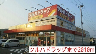 プラシード その他