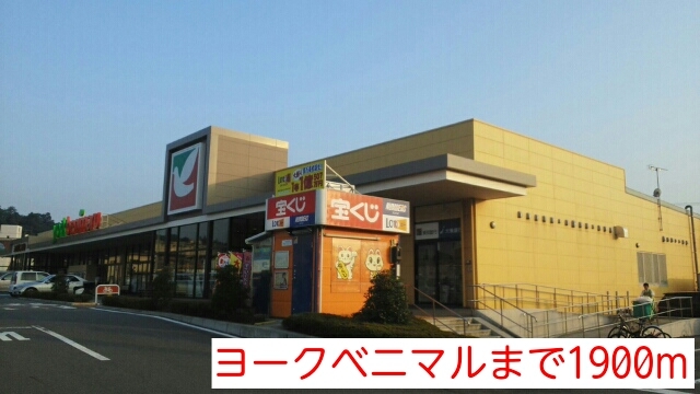 プラシード その他