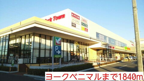 プラシード　カーサ その他
