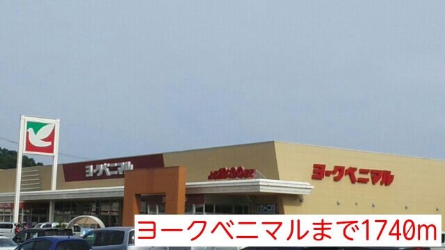 アスリート その他