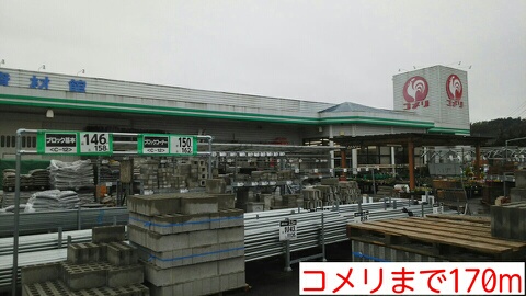 サン・フラワーＡ その他