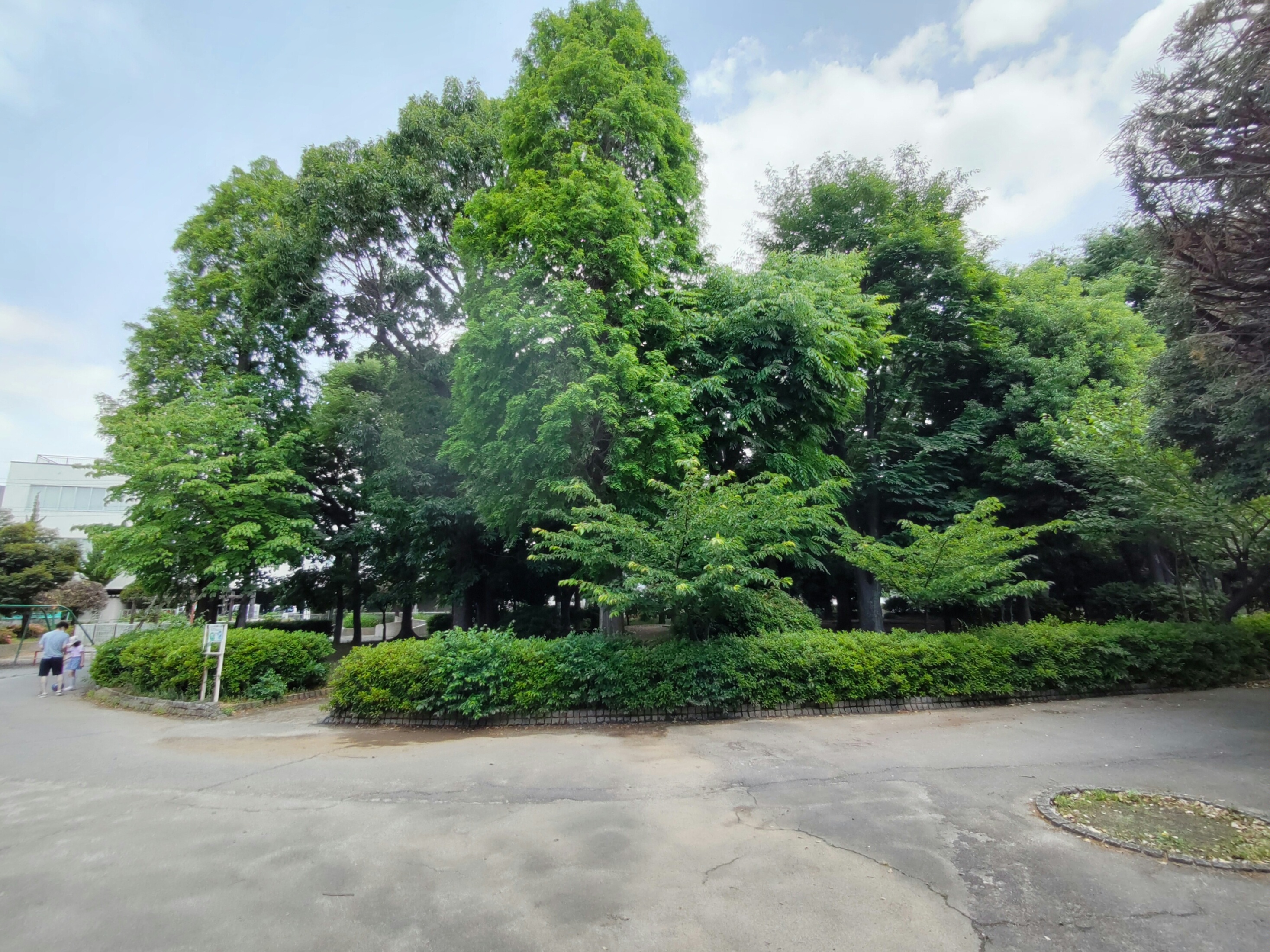 ぷち・あみ蕨 公園