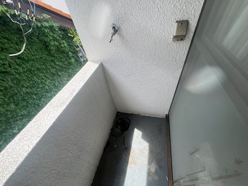 アイリス西川口 その他部屋・スペース