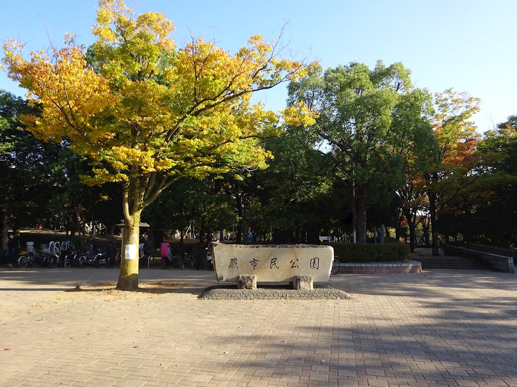 さつきハイム 公園