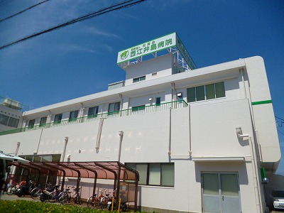 トレゾール住吉 周辺画像10