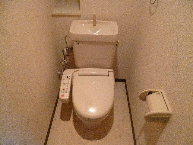 ヴェルドミールステラ その他1