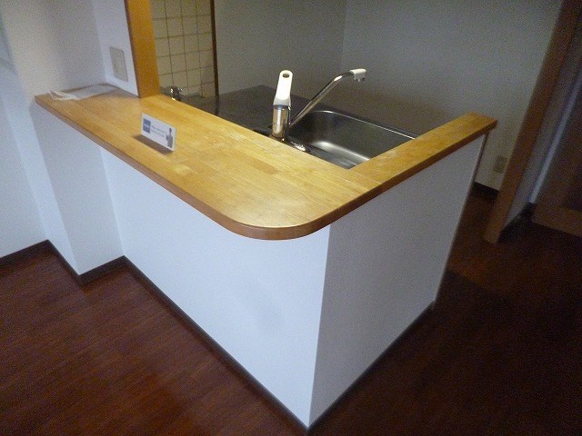 ヴェルドミールステラ その他12