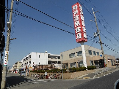 ヴェルドミールステラ 周辺画像10