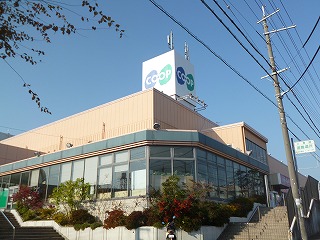 D-room五反田 周辺画像5