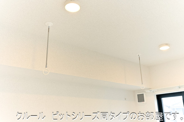 プレシャスコートⅡ その他4