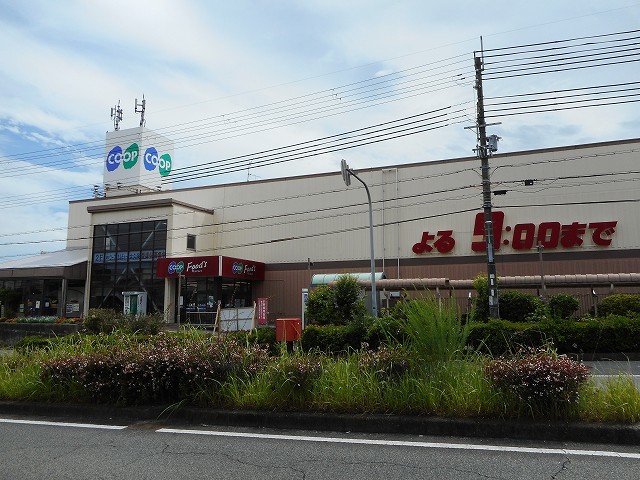 グリーンハイツサン その他外観2