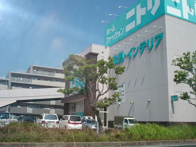 パールグレイス 周辺画像3