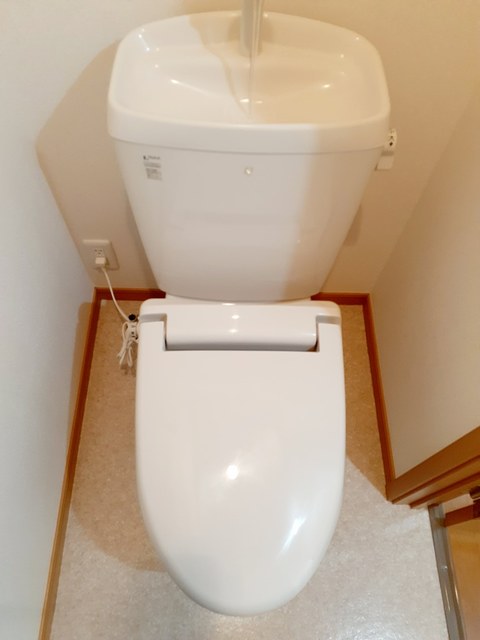 マロングレイス その他4