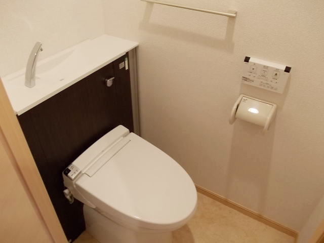 フェリチタ その他6