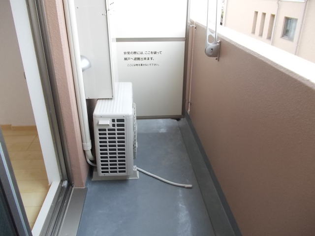 フェリチタ その他8