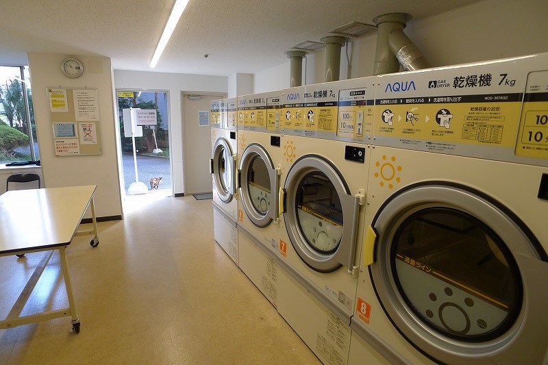 ニューステイトメナー その他外観2