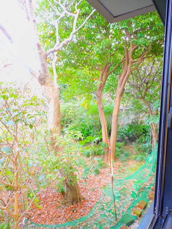 L&amp;rsquo;s吉祥寺（エルズキチジョウジ） その他5