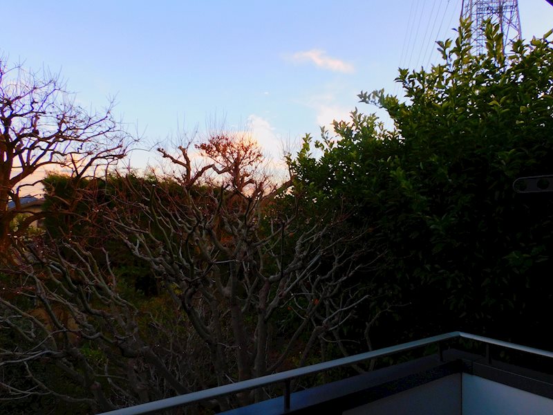 L&amp;rsquo;s吉祥寺（エルズキチジョウジ） その他15