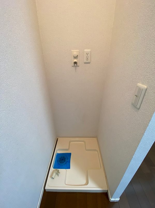 コーラル その他2