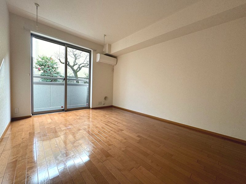 セレーナ経堂 リビング