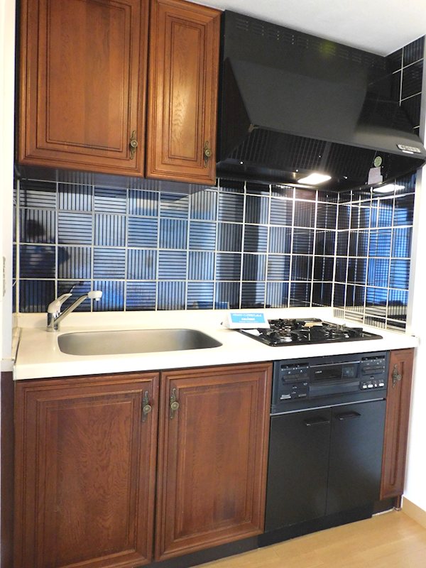 日神パレス新高円寺第2 その他9