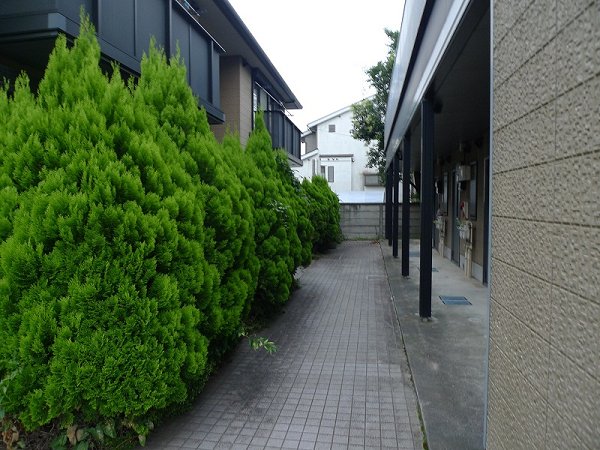 プラティーク三鷹 その他5