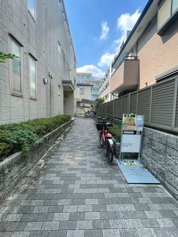 モンテ・ベルデ その他13