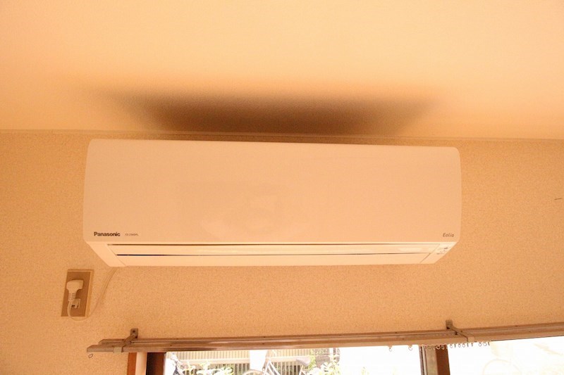 エクセレンス315 その他1