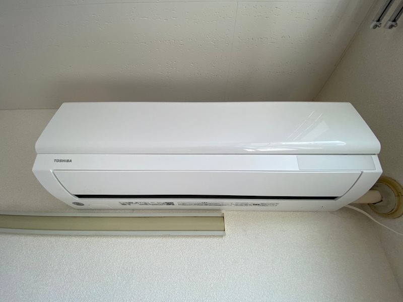 カメリア その他5
