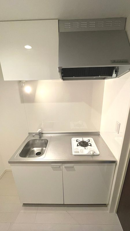 ホワイトパインⅠ その他15